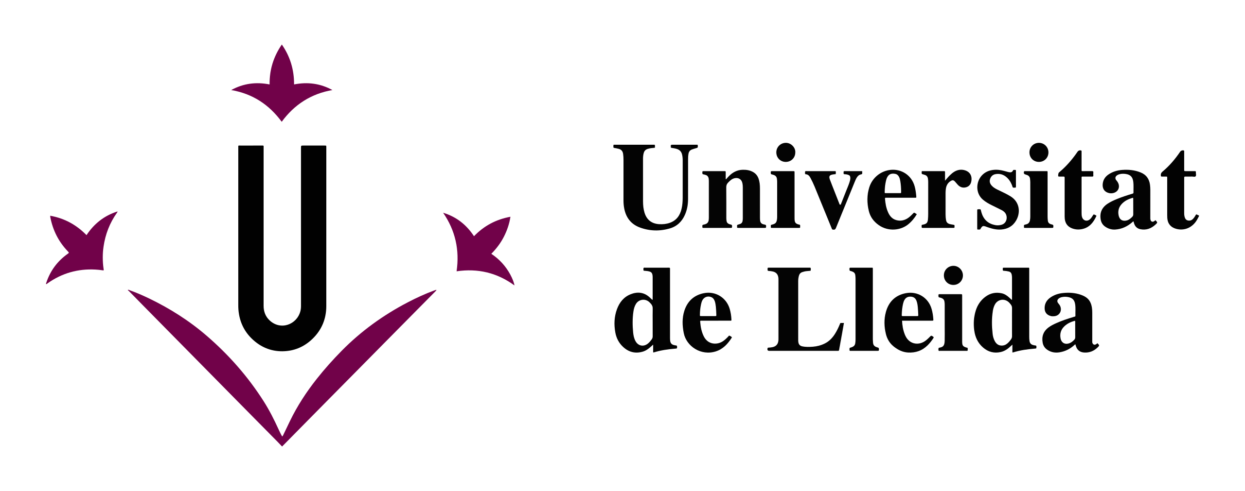 Logo_Universitat_de_Lleida.svg